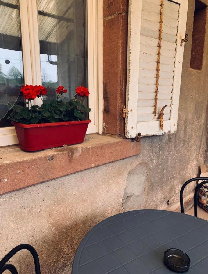 Celles-sur-Plaine Appartement Avec Terrasse Privative מראה חיצוני תמונה
